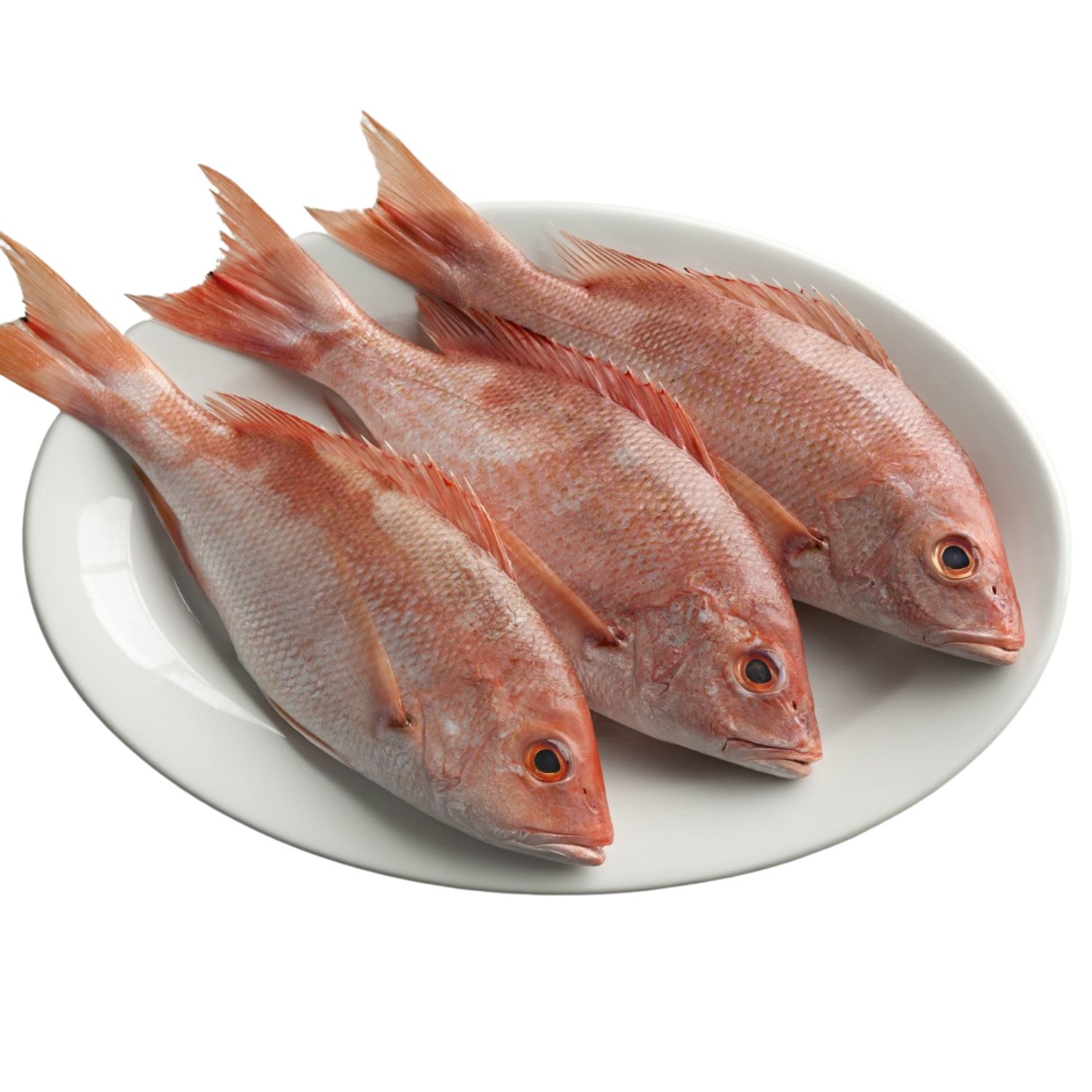 Red Snapper Fish - Cut,Cleaned